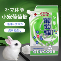 Pet glucose consumption electrolytic multi-dimensional cat dog rabbit ChinChin small pet Cubs nutrition calcium to prevent hypoglycemia