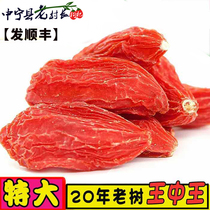 (Shunfeng New Year) Ningxia wolfberry Zhongning authentic large-grain wild farm Gongguo 500g super-free