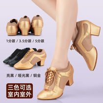 Professional Latin Dance Shoes Students Cograde Adult Ladies Dance Shoes Soft Bottom Teacher Women Shoes All Season of Dancing Shoes