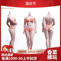 TBLeague 1 6 steel bone coated micro fat female body S28A white skin color S29B wheat color spot