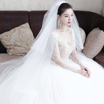 2020 new long head yarn bridal wedding veil gauze White Main wedding dress tailing head gauze puffy style