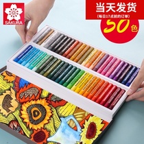 Japan Sakura brand 50 color oil painting stick Professional grade childrens color coloring graffiti Primary school color coloring brush art painting oil painting stick Kindergarten baby painting brush crayon set does not dirty hands