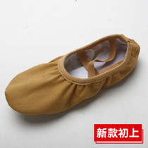 Dance shoes for children female lace-free arch soft bottom practice shoes adult body yoga no drawstring cat claw dance shoes