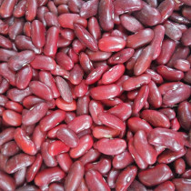 Guangxi Bama Red Kidney Beans Red Kidney Bean Farmers Self-planted Soybean Coarse Rice Bulk Stuffed Rice Stuffed Ingredients