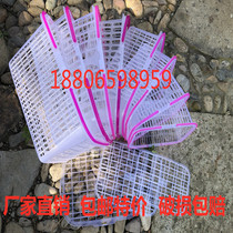 Mainland China Strawberry Grape Mulberry Cherry Picking Basket Handheld Plastic Fruit Basket