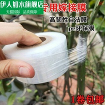 Tree grafting film thermal insulation protective film garden strapping Bud flowers and wood strapping cropping film Small roll self-adhesive