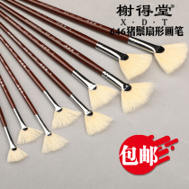 Eyutang 646 pig bristles fan-shaped pen water chalk painting pen watercolor pen pig hair brush acrylic paint drawing board brush art student art examination adult beginner painting pen art supplies
