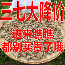 Yunnan Wenshan Spring 37 Tite Class 10 Head 15 15 20 20 Head 30 Head Field Seven Powder Can Grind Super Fine Lion Head