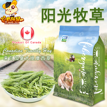 Imported Timothy Grass Canadian Sunshine Forage Chinatown Chinatelia Pig Feed Guinea Pig Rabbit Grass Hay