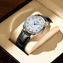 Swiss Romantic Gems Watch Mens Fully Automatic Mechanical Watch Waterproof Fashion Series Genuine Leather Business Men Watch