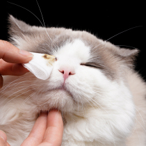 KOJIMA pet eye wipes Cat and dog Garfield to remove tears artifact elimination Cat wipe eye cleaning supplies