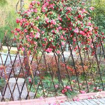 Outdoor bamboo fence bamboo fence garden courtyard lawn partition decoration climbing block fence guardrail fence fence small yard