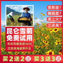 Kunlun snow chrysanthemum wild premium authentic Tibetan specialty Tianshan snow chrysanthemum non-Xinjiang iceberg blood chrysanthemum wild chrysanthemum tea