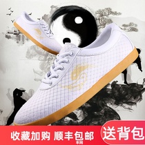 Wulin No 1 summer breathable tai chi shoes Womens beef tendon bottom mesh eye Taijiquan practice shoes Mens martial arts training shoes
