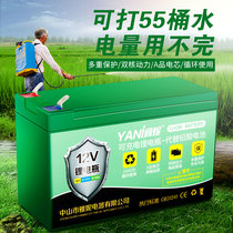Lithium battery sprayer electric 12v agricultural sprayer special lithium battery backpack type large capacity battery Volt