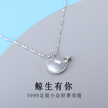  Little whale necklace female summer 999 sterling silver light luxury niche design sense Light luxury dolphin Tanabata Valentines Day gift
