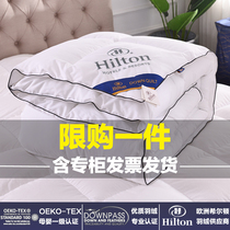  Export Hilton hotel duvet 95 white goose down 6 8 10 kg quilt core 2 meters quilt winter quilt cotton winter
