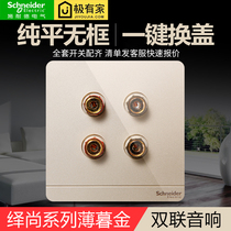 Schneider electrical switch socket double four-hole audio socket speaker weak current panel