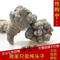 Yunnan Wenshan Super Spring Panax notoginseng without cutting mouth 20 head 30 head 40 head Tianqi national substitute grinding powder