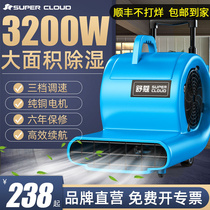 Chaoyun industrial blower small commercial 220v powerful high power hair dryer hotel ground dehumidification blowing machine