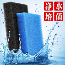 Fish tank biochemical filtration cotton thickened high density ultra purifying bacilli activated charcoal nitrochemical bacteria water ethnic filter material