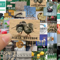 60 net red funny expression bag stickers sand sculpture emoji cute personality creative luggage mobile phone waterproof stickers