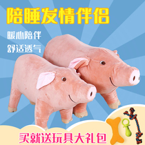 Dog venting toys with sleeping pigs male dogs venting fire Teddy fighting sparring fire mating partner pet supplies
