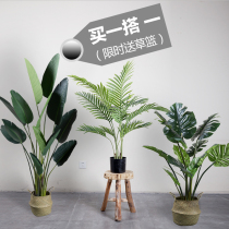  High-quality Nordic simulation plant potted bird of paradise traveler banana large living room decoration green plant fake tree indoor ornaments