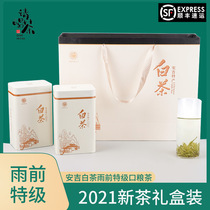 Anji white tea before the rain Special Gift Box 250g authentic green tea tea rare spring tea 2021 new tea on the market