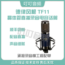 TELEFUNKEN DLAY FANGEN TF11 Professional Recording Studio Capacitor K - Song Live Equipment Set