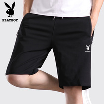 Playboy shorts mens five-point pants summer pants pure cotton loose sports home pants beach knitted pants