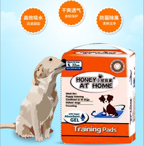 Xiaohuan at home diaper pad dog absorbent diaper pet supplies cat rabbit diaper Teddy deodorant sanitary pad new product