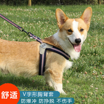 Dog leash vest teddy koji small medium-sized dog chest strap walking dog rope fighting pet supplies