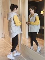 2021 autumn and winter new womens fashion network infrared wear down cotton vest vest jacket spring and autumn horse clip