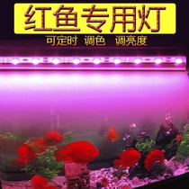 Red fish parrot fish Arhat magic red fish tank light waterproof led aquarium fish tank special lamp brightening lighting