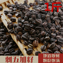 Acanthopanax Seeds 500g Acanthopanax Northeast fresh Changbaishan Premium Fruit Tea Acanthopanax Seeds