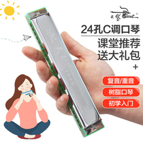 Swan Harmonica Beginner Student 24-hole Introductory Child Polyphonic Adult Professional Accented C-tone Harmonica Instrument