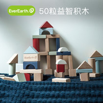 everearth 50 childrens baby early education puzzle wooden building block toy lifestyle series