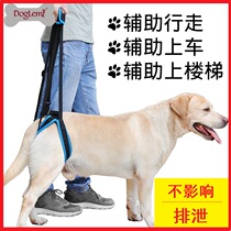Pet hind leg bracket leg disability weak injury old dog upstairs to get on the car dog walking auxiliary hand strap
