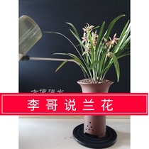 Brother Li said orchid watering hard wear-resistant plastic ball turntable does not rust flower gardening supplies black roller