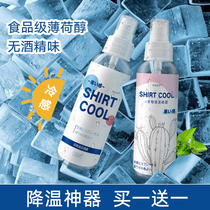 Cooling Agent Automotive Inseminators Quick Refrigeration Summer Spray Vehicle Dry Ice Spray Air Fast On-board Summer