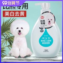 Bears special dog shower gel sterilization deodorant antipruritic shampoo liquid whitening yellow pet bath supplies