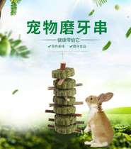 Rabbit Dragon Cat Dutch Pig Pet Rabbit Clover Grass Cake Apple Prunes Tooth String Snacks