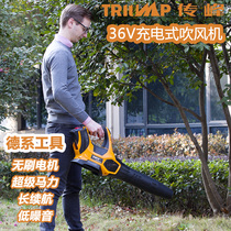 Peak Handheld Rechargeable Industrial Hair Dryer High Power Electric Wireless Blow Falling Leaf Machine Lithium electric road blower