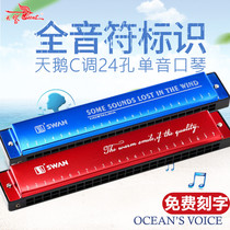 Swan brand harmonica childrens adult beginner students use 24-hole C- tune monophonic harmonica teacher recommends musical instruments