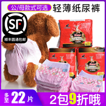 Dog health pants diapers Teddy diapers pet menstruation bitch aunt towel male dog safety pants women