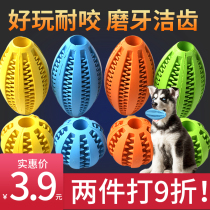 Dog toy Golden retriever elastic ball Big dog bite-resistant ball ball Training dog bite large dog molar stick Pet supplies