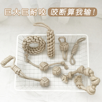 (Destruction King Exclusive) Dog Knot Rope Toy Teddy Interactive Toy Teddy Cochy Satsuma Large Dog