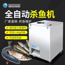 Xuzhong commercial small multi-function fish killing machine automatic stainless steel belly to Lin ripping back to kill fish artifact