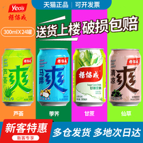 Guangdong Yang Xiecheng Horseshoe drink 300ml * 24 cans of whole box of horseshoe water chestnut juice water sugar cane cool Aloe